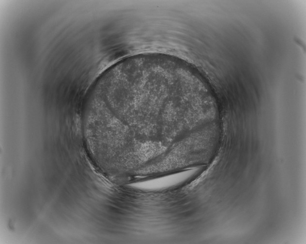 X0000094951505200712271646