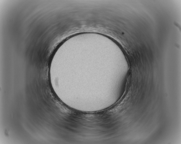 X0000094951507200712271646