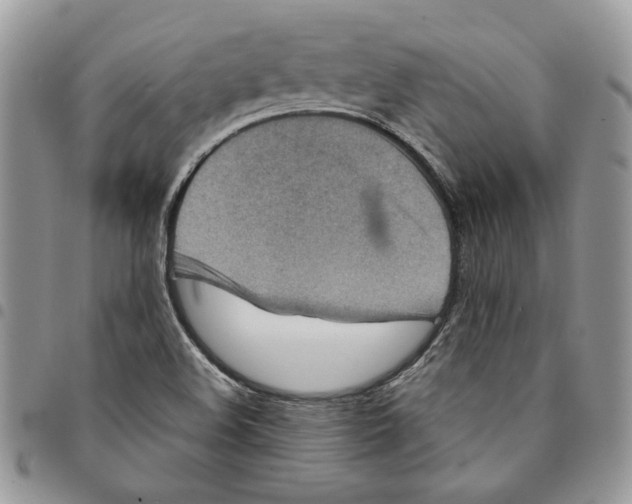 X0000094951508200712271646