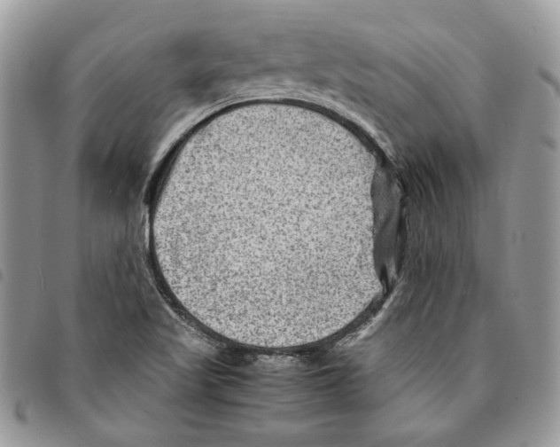 X0000094951509200712271646