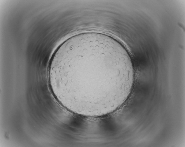 X0000094951514200712271646