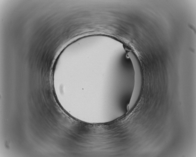 X0000094951516200712271646