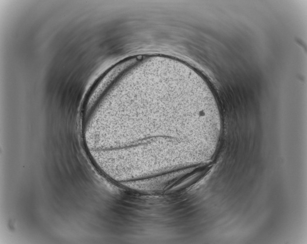 X0000094951517200712271646