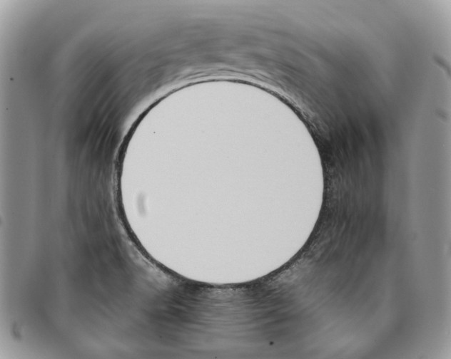 X0000094951518200712271646