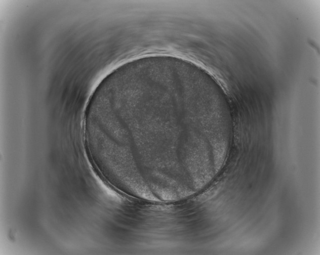 X0000094951519200712271646