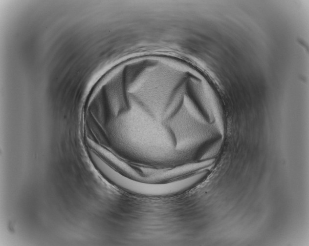 X0000094951520200712271646