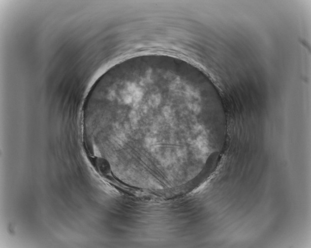 X0000094951522200712271646