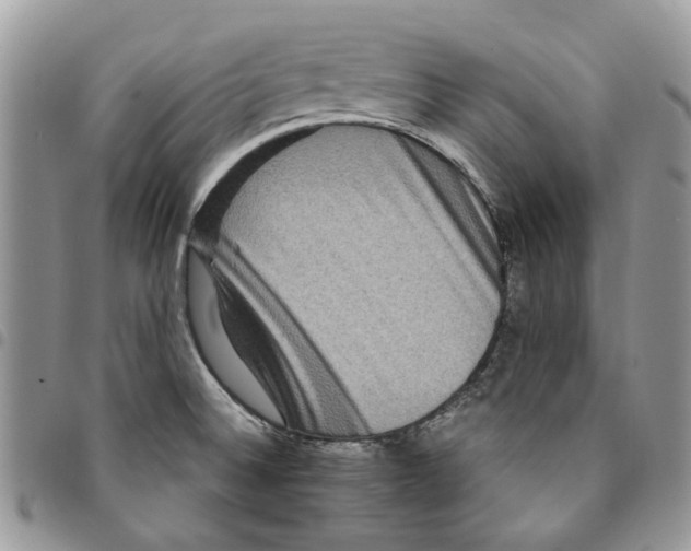 X0000094951524200712271646