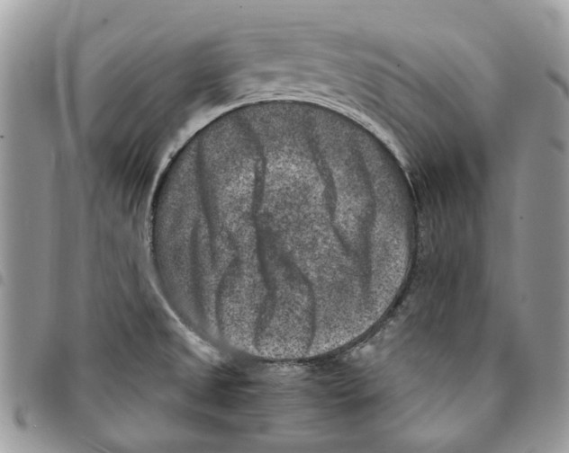 X0000094951525200712271646