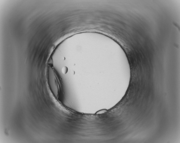 X0000094951526200712271646