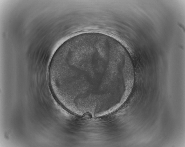 X0000094951527200712271646