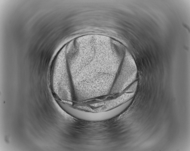 X0000094951531200712271647