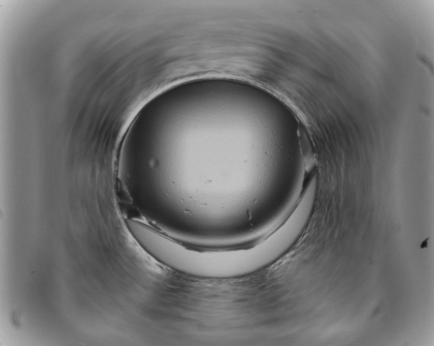 X0000094951532200712271647