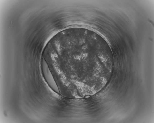 X0000094951533200712271647