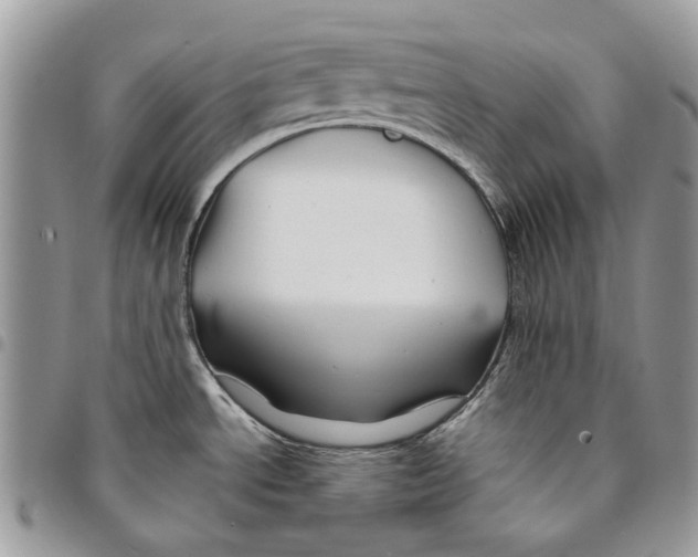 X0000094951534200712271647