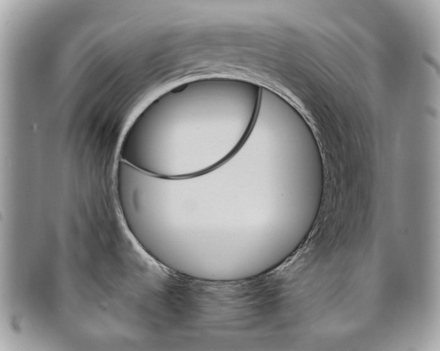 X0000094951536200712271647