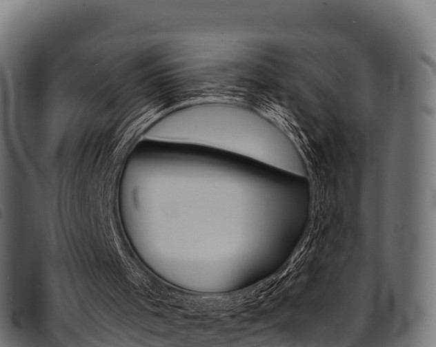 X0000094960001200711291138