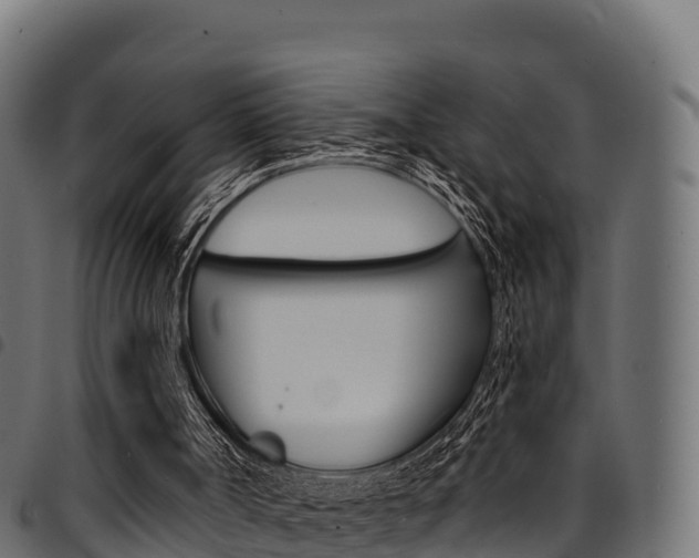 X0000094960002200711291138