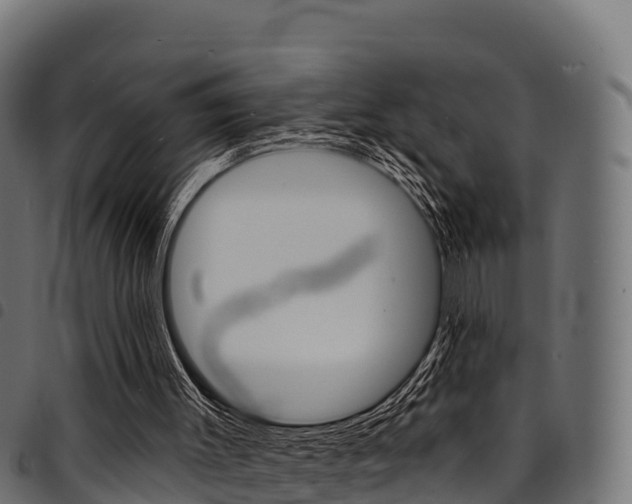 X0000094960003200711291138