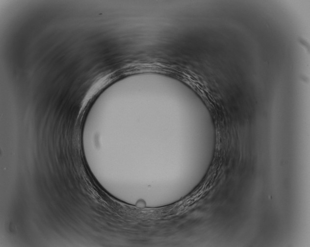X0000094960004200711291138