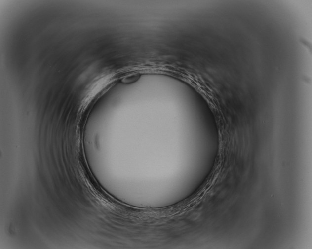 X0000094960005200711291138