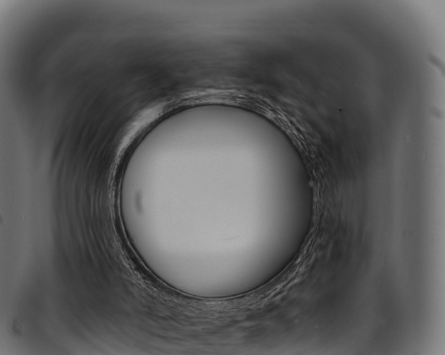 X0000094960006200711291138