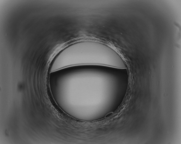X0000094960007200711291138