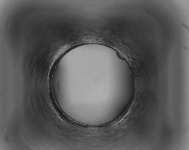 X0000094960008200711291138