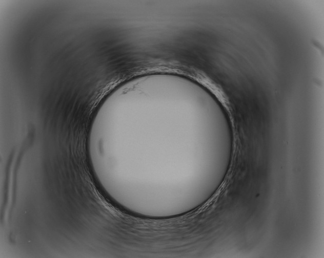 X0000094960009200711291138