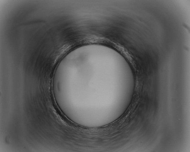 X0000094960010200711291138