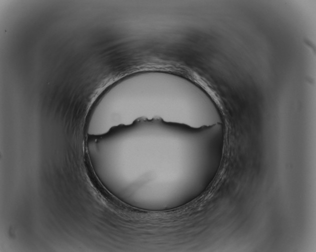 X0000094960011200711291138
