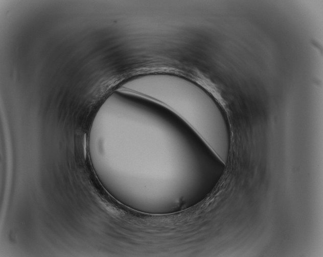 X0000094960013200711291138