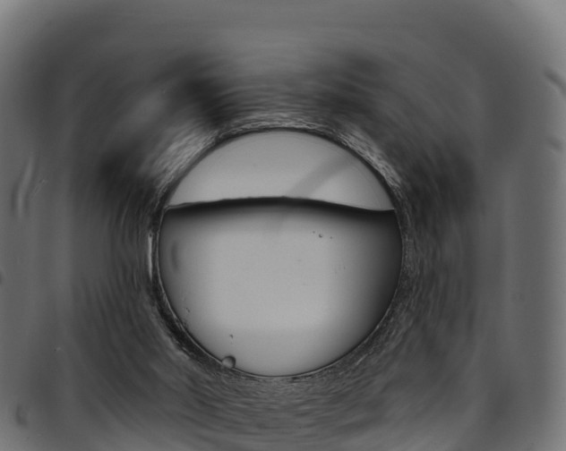 X0000094960014200711291138