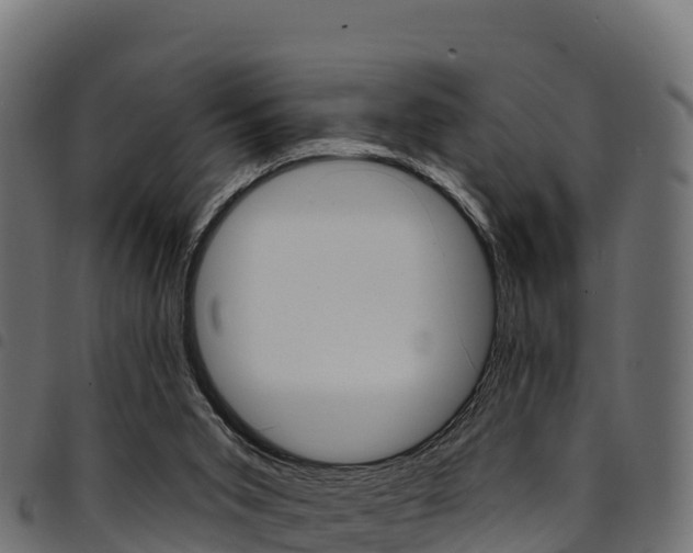 X0000094960015200711291138