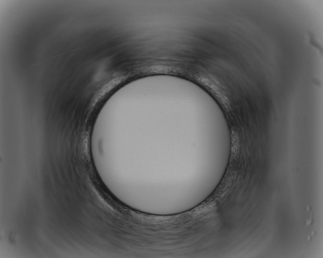 X0000094960016200711291138