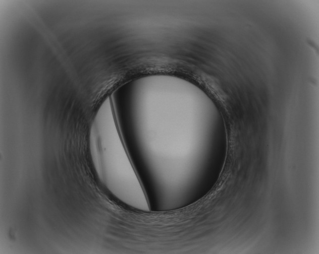 X0000094960017200711291138