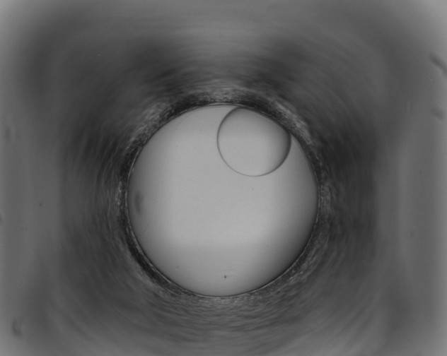 X0000094960018200711291138