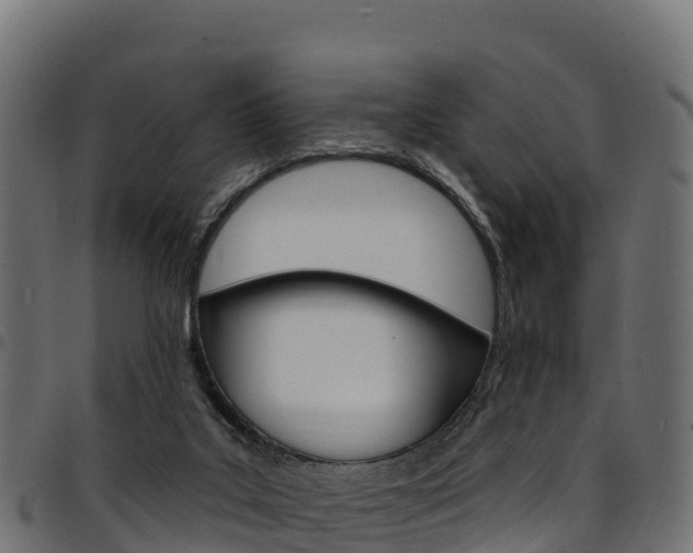 X0000094960019200711291138