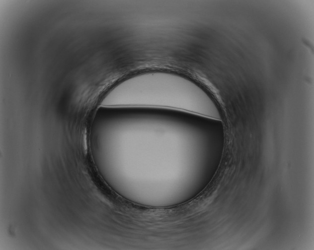 X0000094960020200711291138