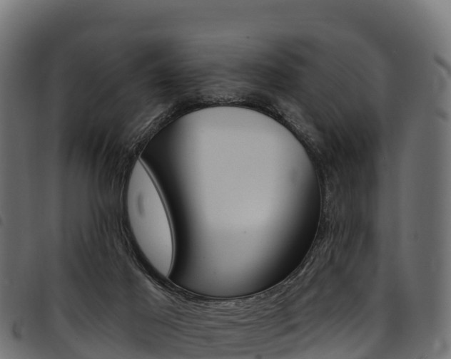 X0000094960021200711291138