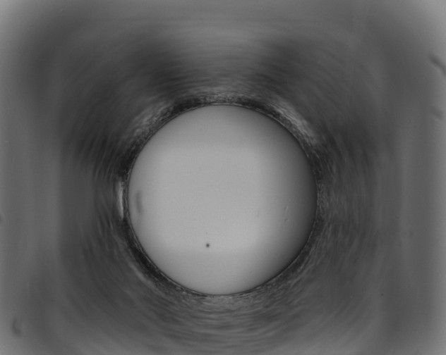 X0000094960022200711291138