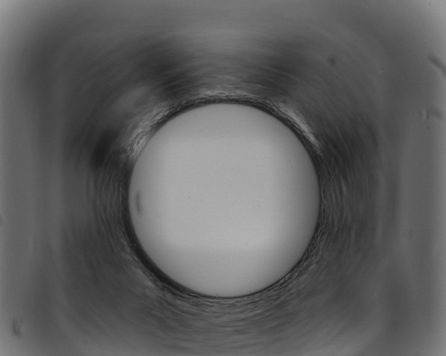 X0000094960023200711291138