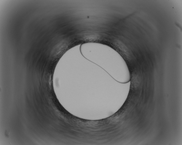 X0000094960024200711291138
