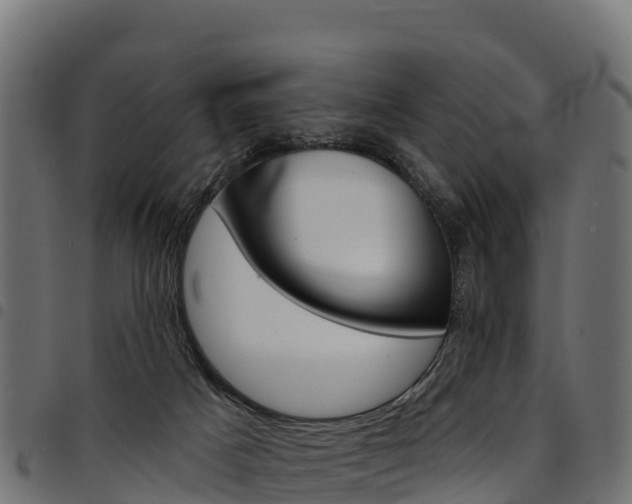X0000094960025200711291138
