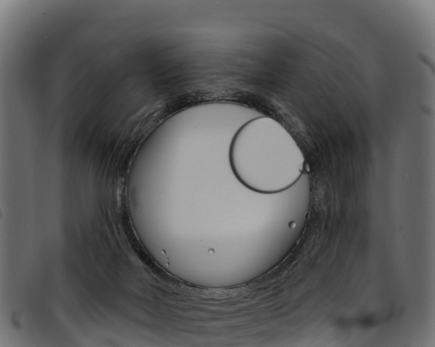 X0000094960026200711291138