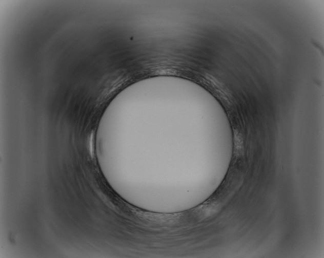 X0000094960028200711291138