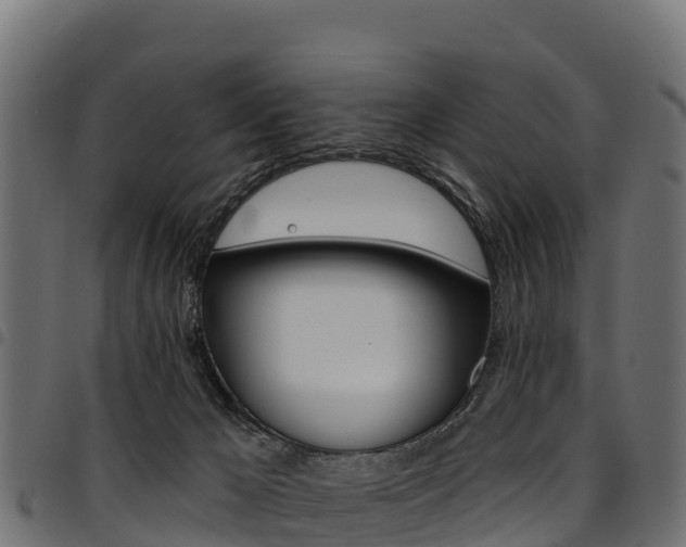 X0000094960029200711291138