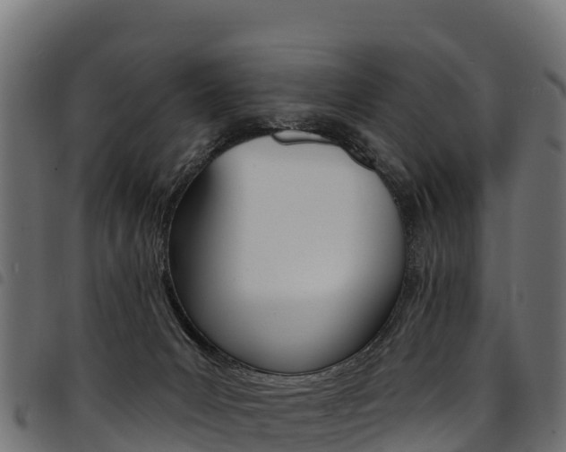X0000094960031200711291138