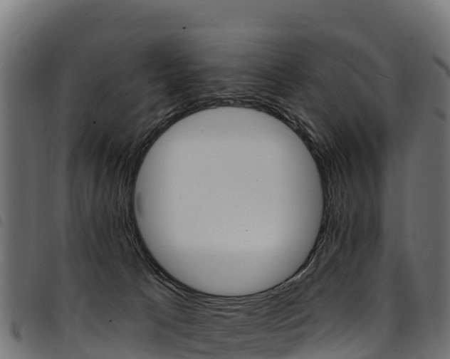X0000094960033200711291138