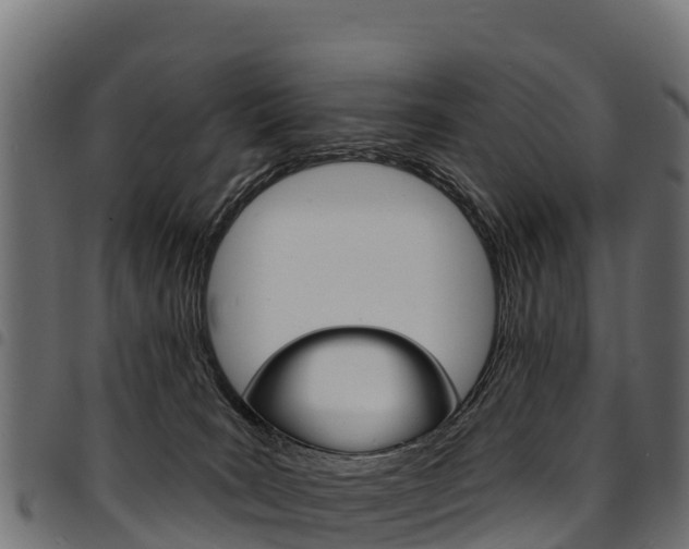 X0000094960035200711291138